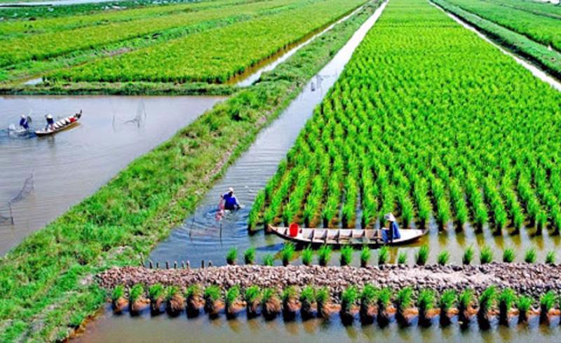 Resources mobilized for favorable agricultural development in the Mekong Delta.