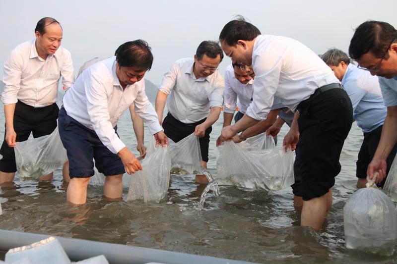 Bộ trưởng Lê Minh Hoan và các đại biểu thả con giống thủy sản xuống biển. Ảnh: Chu Khôi.