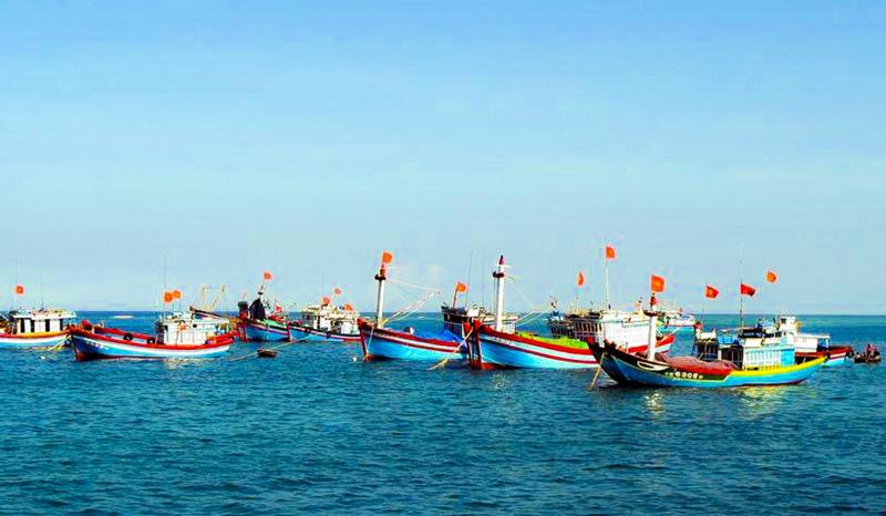 Việt Nam đang nỗ lực kiểm soát đánh bắt hải sản để gỡ thẻ vàng IUU  