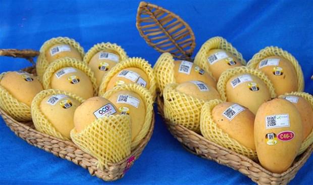 Vietnam is the third largest mango exporter to RoK but accounts for a mere 5.8% the latter's total imports. (Photo source: VNA)
