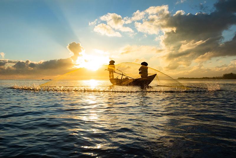 By 2050, Vietnam envisions itself as a global leader in sustainable and modern fisheries. (Photo source: internet.)
