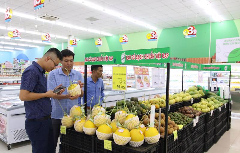 Agricultural products put on sales on sendo.vn. Photo kinhtedothi.vn