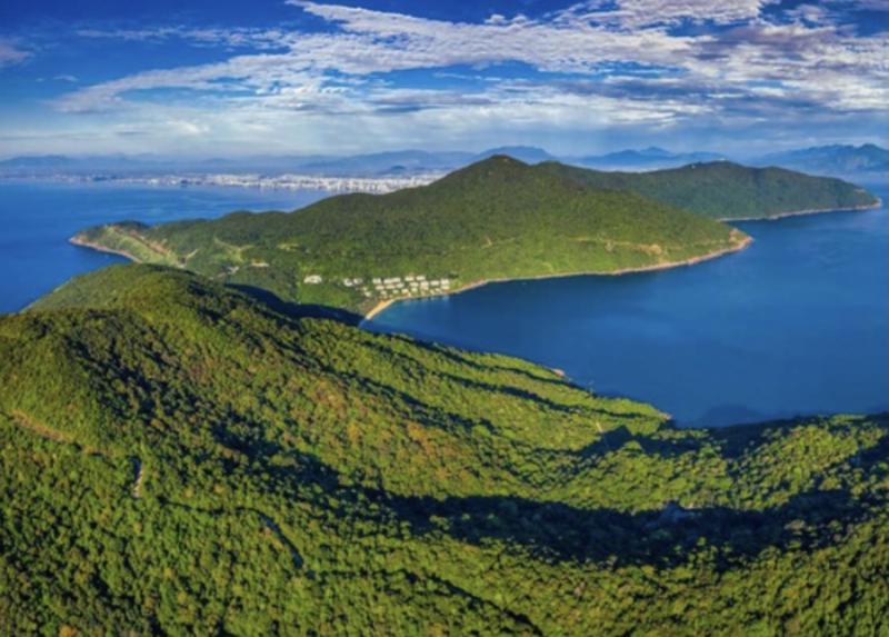 Rừng nguyên sinh Khu bảo tồn thiên nhiên bán đảo Sơn Trà.