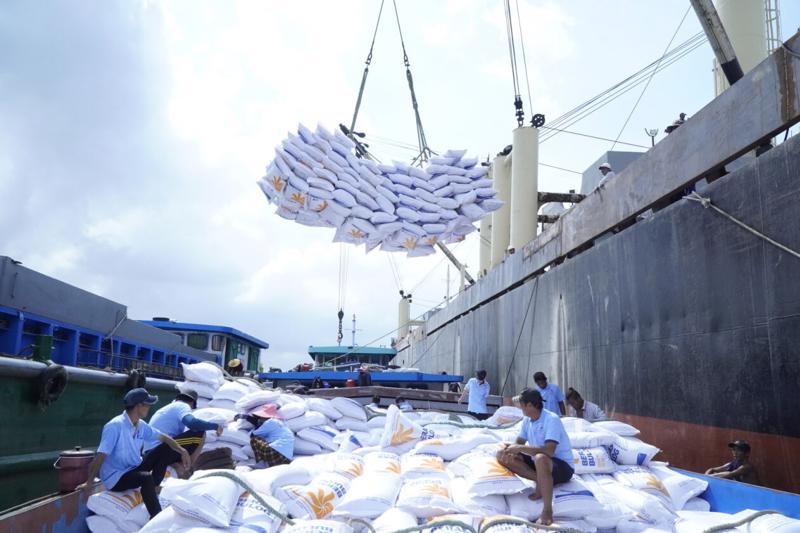 Tập đoàn Lộc Trời đã trả xong tiền nợ mua lúa vụ Đông Xuân 2023 - 2024 cho nông dân Đồng bằng sông Cửu Long. Ảnh minh họa.