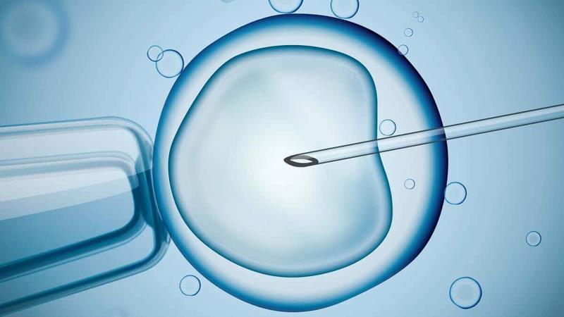 IVF trong tương lai gần như không cần sự can thiệp của con người.