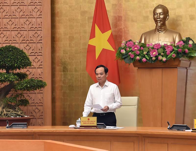 Deputy Prime Minister Tran Luu Quang chairing the meeting. Photo: VGP