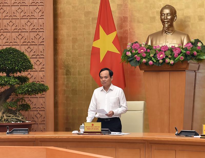 Phó Thủ tướng Trần Lưu Quang tại cuộc họp - Ảnh: VGP