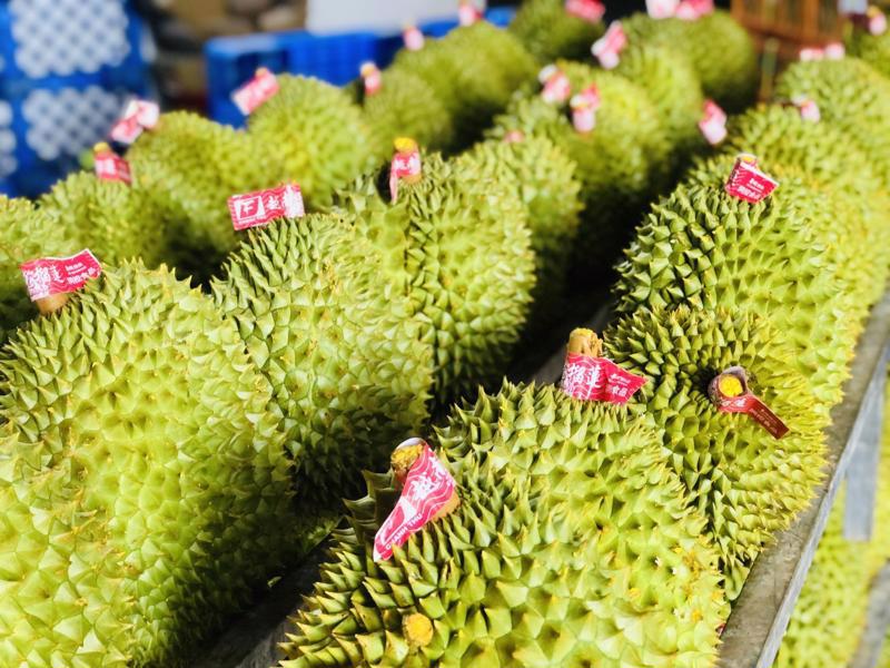 Vietnamese durians among key export products to China. 