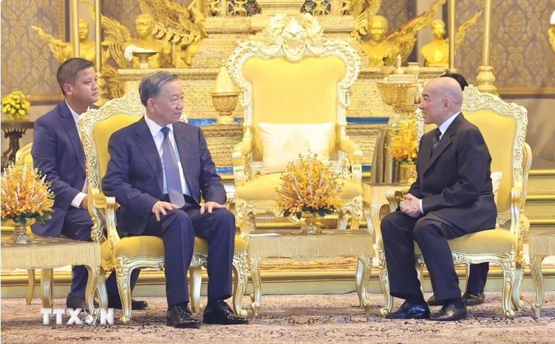 President To Lam and Cambodian King Norodom Sihamoni in Phnom Penh on July 12. (Photo: VNA)