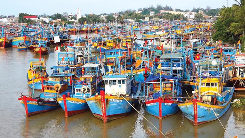 Cần nâng cấp hiện đại các cảng cá và khu neo đậu tàu thuyền đánh cá.