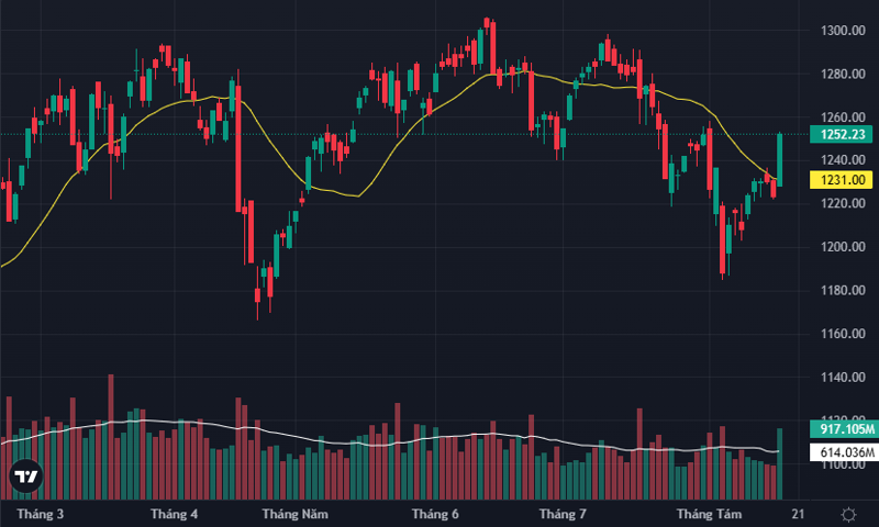 VN-Index có một phiên kéo bất ngờ, biên độ tăng mạnh đột biến và thanh khoản rất tốt.
