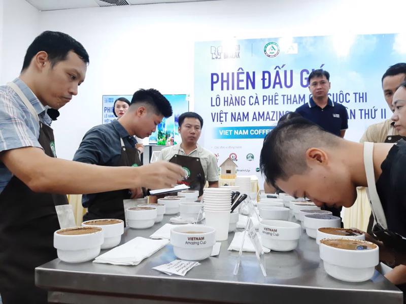 Tại phiên đấu giá, các khách hàng được nếm thử cà phê rồi mới trả giá cho lô hàng cà phê.