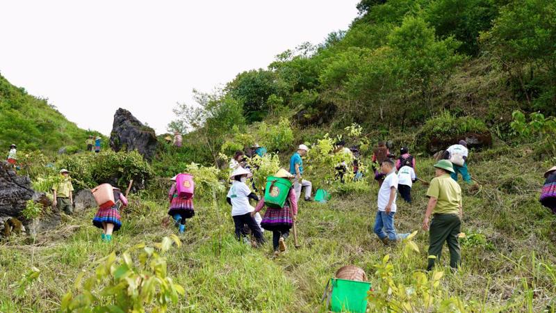 Đông đảo người dân tham gia trồng phục hồi rừng tại xã Hang Kia, huyện Mai Châu, tỉnh Hòa Bình.