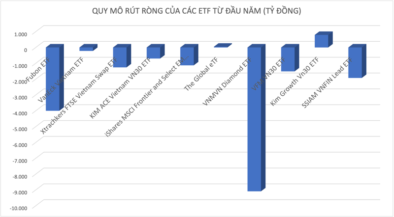 ĐỒ HỌA: T.M. 