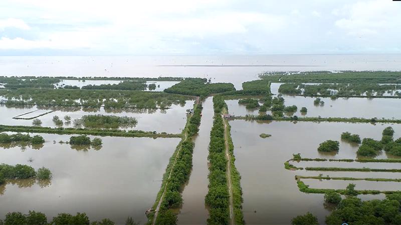 Khu đầm nuôi trồng thuỷ sản rộng hơn 333ha tại huyện Tiên Lãng được gia hạn sử dụng đất 24 tháng