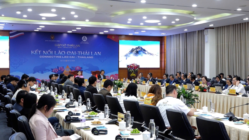 The workshop was held in Lao Cai province on August 28. 