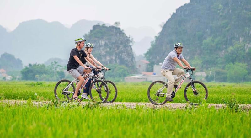 Foreign tourists visiting Vietnam. 