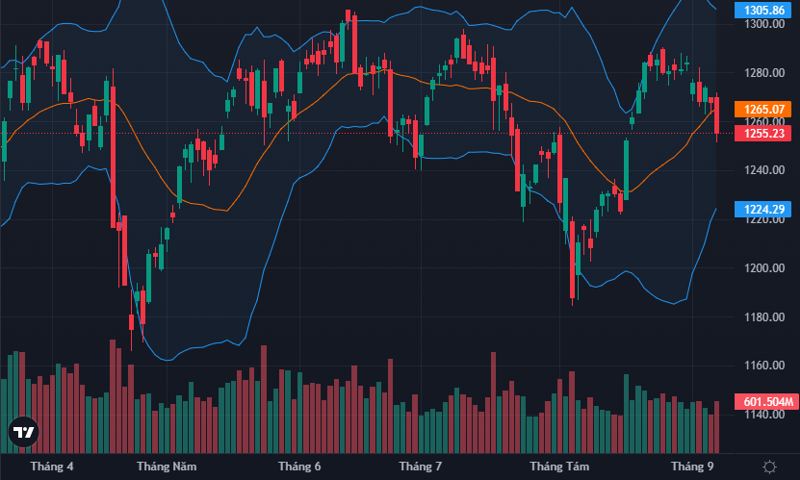 VN-Index  đã rơi sát ngưỡng 1250 điểm.