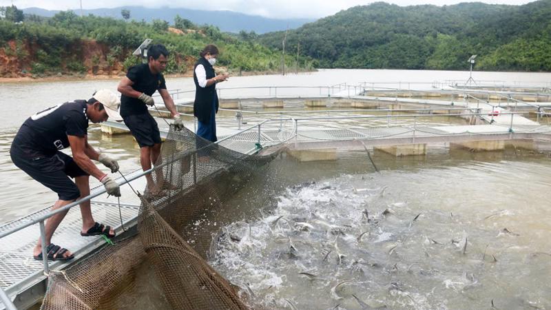 Giảm phát thải và phát triển xanh là yêu cầu cấp bách trong nuôi trồng thủy sản do là ngành chịu tác động mạnh của biến đổi khí hậu nhưng cũng là một “thủ phạm” sản xuất ra lượng lớn khí nhà kính.