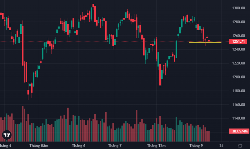 VN-Index một lần nữa kiểm định thành công mức 1250 điểm trong phiên.