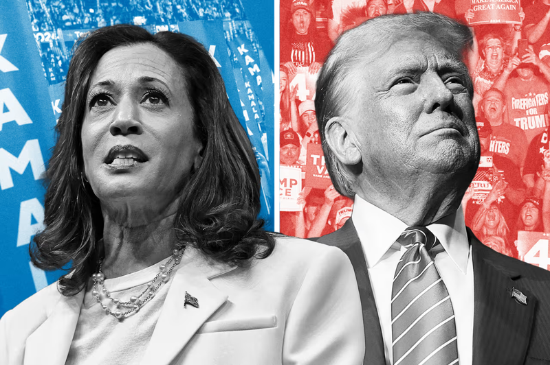 Phó Tổng thống Kamala Harris và cựu Tổng thống Donald Trump dự kiến đối đầu trong cuộc bầu cử vào ngày 5/11 tới - Ảnh: WSJ