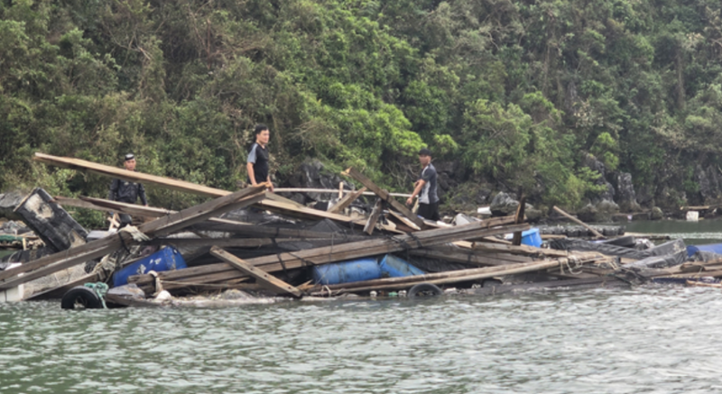 Phần lớn lồng bè nuôi trồng thuỷ sản ở Quảng Ninh gần như mất trắng do ảnh hưởng của bão số 3.