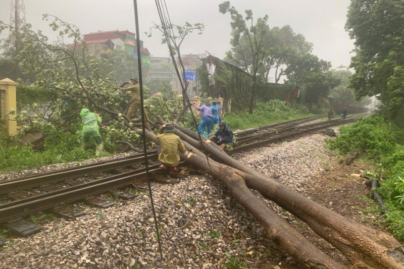 Workers are removing fallen trees from the railways