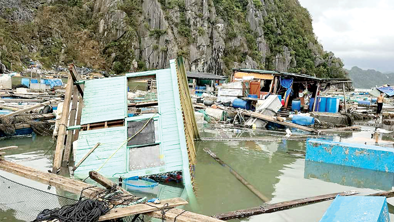 Tan hoang những lồng bè nuôi hải sản trên biển Quảng Ninh