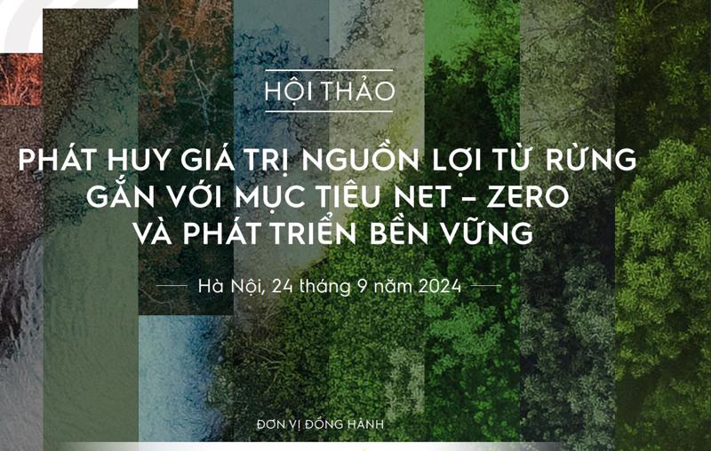 Tội thảo “Phát huy giá trị nguồn lợi từ rừng gắn với mục tiêu Net-Zero và phát triển bền vững”. 