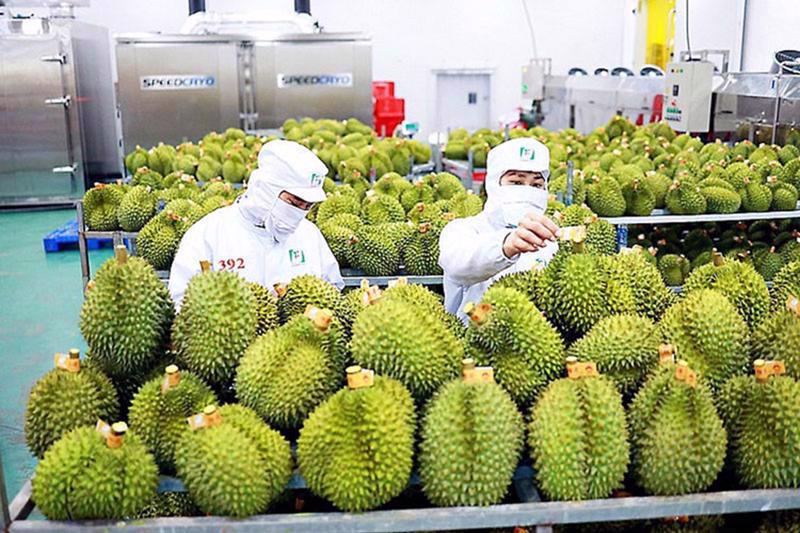 Durian remaining the key export product. 