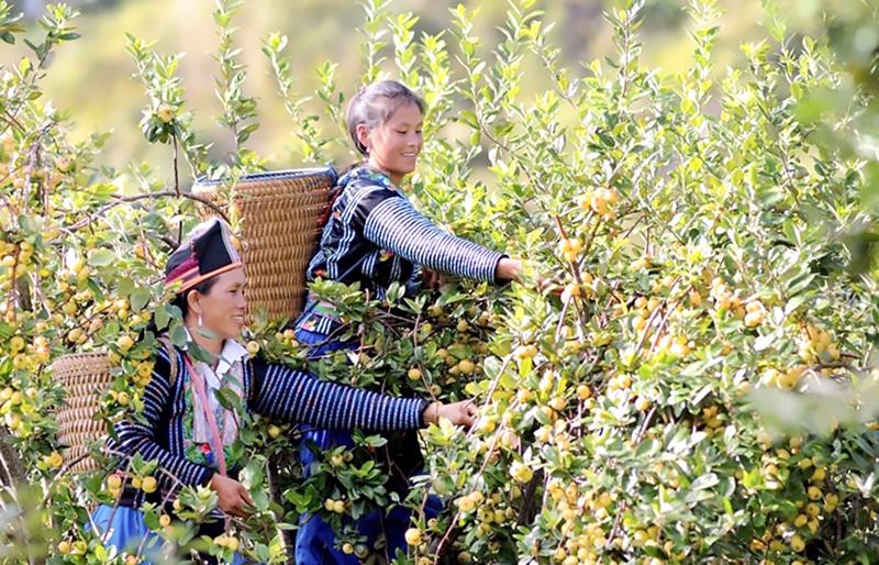 Đầu tư tác động là một phương thức sáng tạo để thúc đẩy đóng góp của khu vực tư nhân vào sự phát triển bền vững. Ảnh minh họa