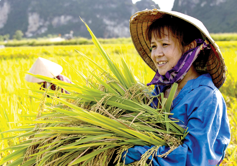 Bất bình đẳng là một trong những yếu tố ảnh hưởng đến sự phát triển bền vững.