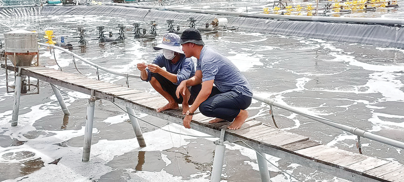 Nuôi trồng thuỷ sản phải chú trọng bảo vệ môi trường, giảm phát thải.