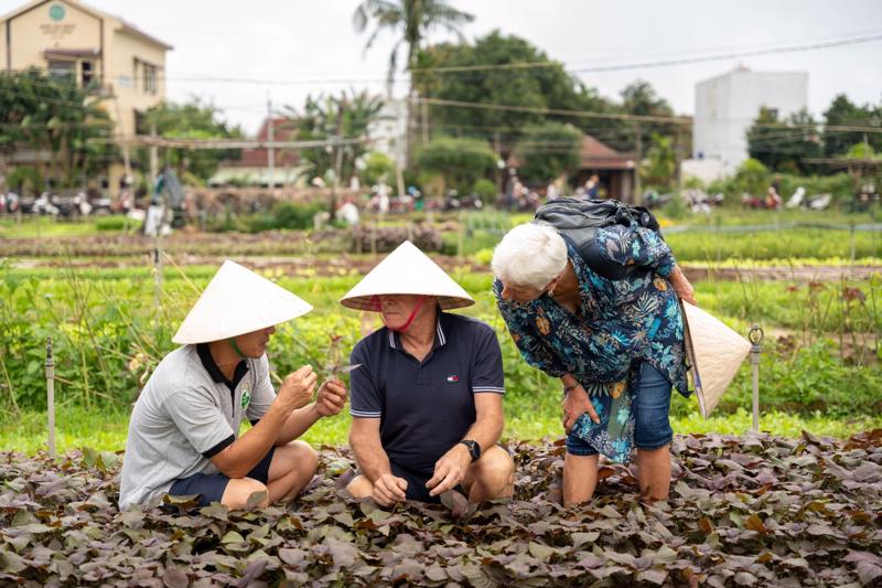 Du khách nước ngoài trải nghiệm thực tế tại Làng rau Trà Quế.