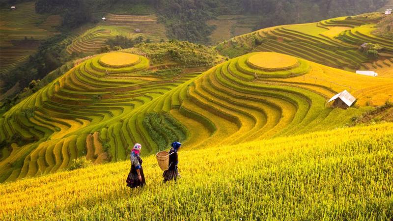 Nông nghiệp sinh thái, thông minh là hướng đi tất yếu.