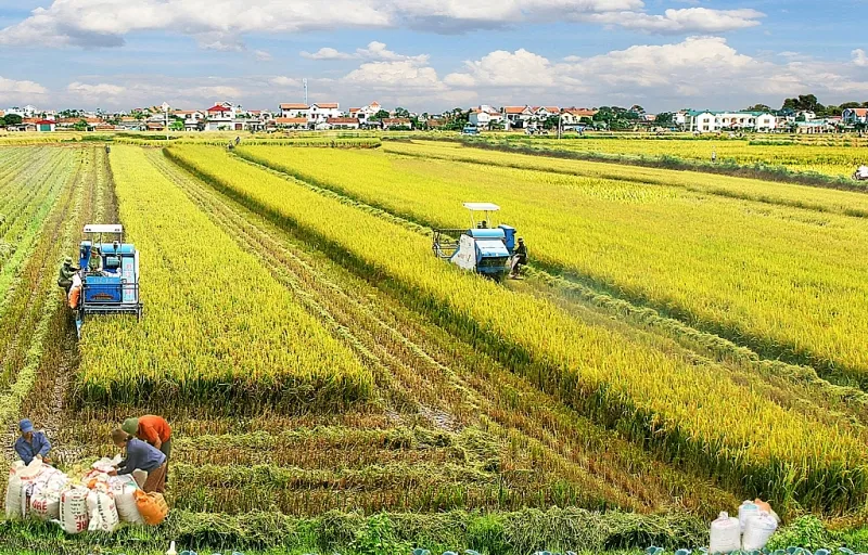 Nhiều ưu đãi đối với doanh nghiệp đầu tư vào nông nghiệp.