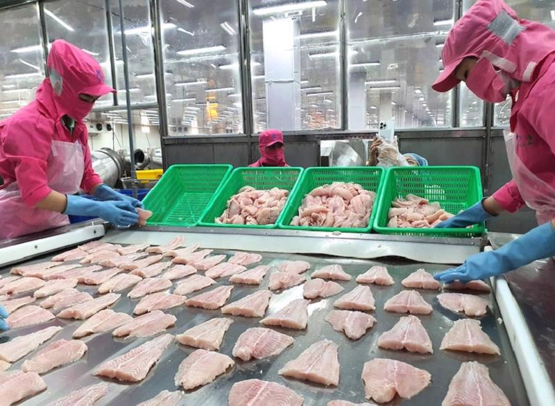 Pangasius fillets remain Vietnam's top export product in 2024. Illustrative Photo