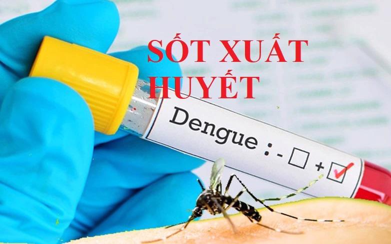 Từ đầu năm 2025 đến nay, TP.HCM ghi nhận 3.431 ca mắc sốt xuất huyết Dengue, cao hơn 125,3% so cùng kỳ năm ngoái