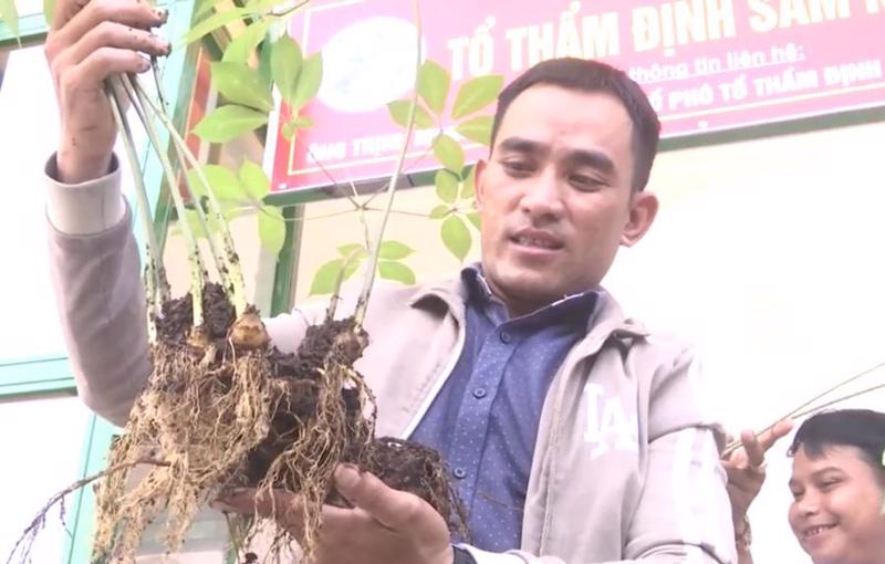 Ngoc Linh ginseng, a precious product, is considered a national treasure.