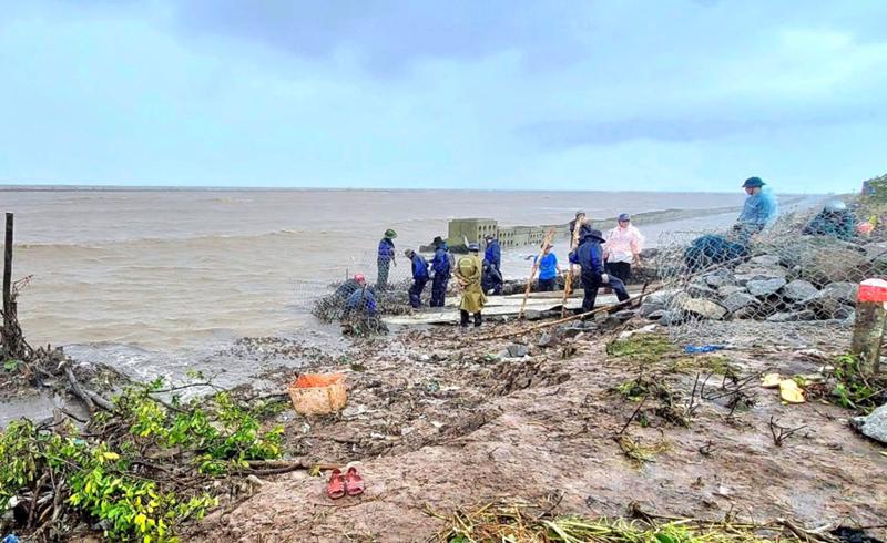 Đê biển Cà Mau luôn đối diện nguy cở sạt lở vì sóng biển, nhất là vào mùa mưa bão. Ảnh tham khảo