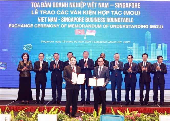 Party General Secretary To Lam (5th from left, second row) witnesses the exchange of MoUs between 1xbet highest winning and Singapore at the business roundtable on March 13. (Photo: VNA)