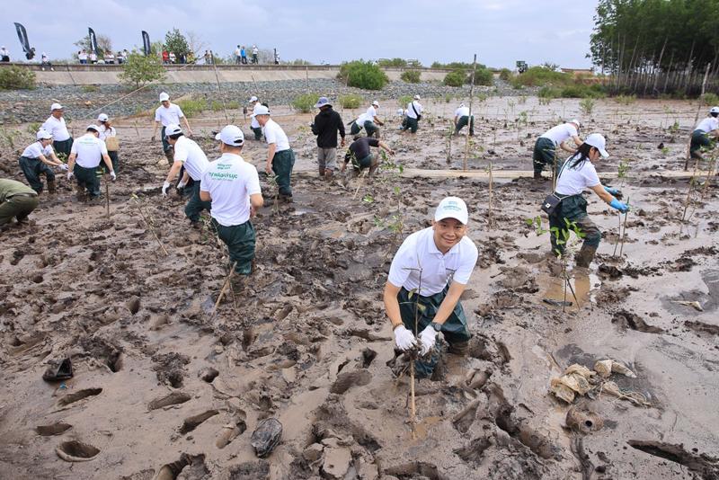 Doanh nghiệp trong và ngoài nước tham gia tích cực vào phong trào trồng cây, gây rừng tại Việt Nam