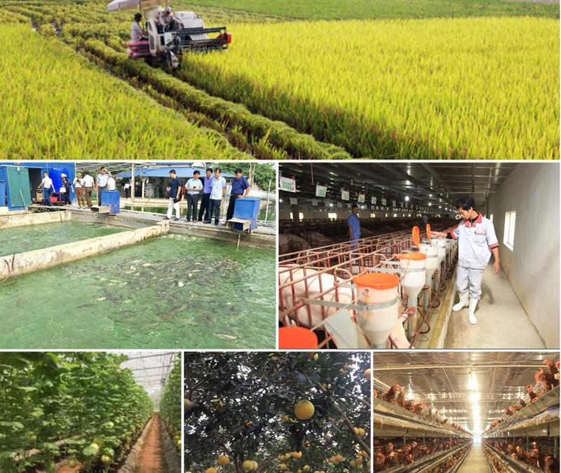 Sản xuất đăng nhập bet88 4 tháng đầu năm 2025 tiếp tục xu hướng tích cực.