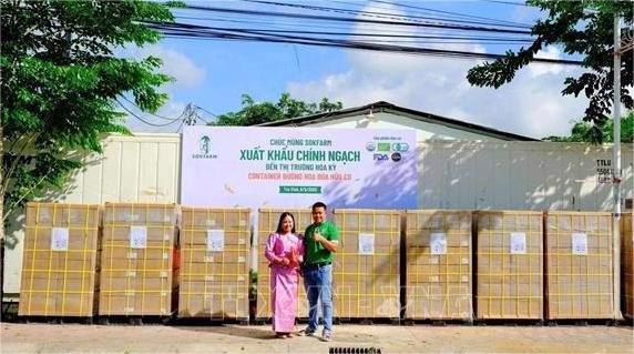 The company's first batch of 5-star OCOP-rated organic coconut sugar to be exported to the US. Photo: VNA