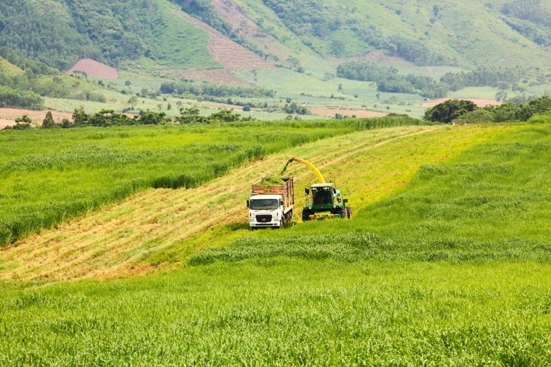 Nông nghiệp tuần hoàn ở Tập đoàn TH, huyện Nghĩa Đàn, tỉnh Nghệ An