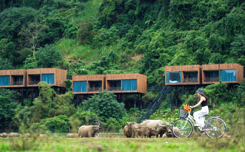 Nông thôn mới ở xã miền núi Tân Hóa, huyện Minh Hóa, tỉnh Quảng Bình, đẹp lạ với mô hình du lịch. Ảnh: Oxalis Adventure