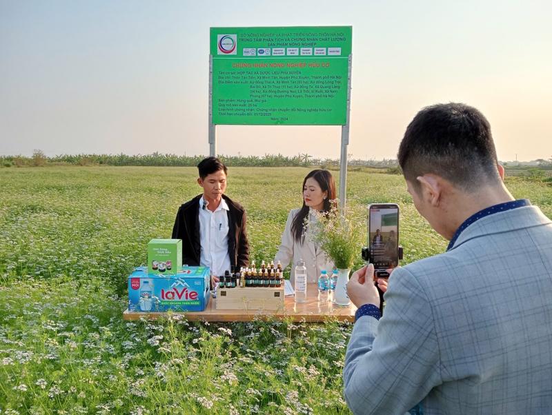 Thương mại điện tử là lĩnh vực còn mới mẻ đối với khu vực miền núi, vùng sâu, vùng xa.