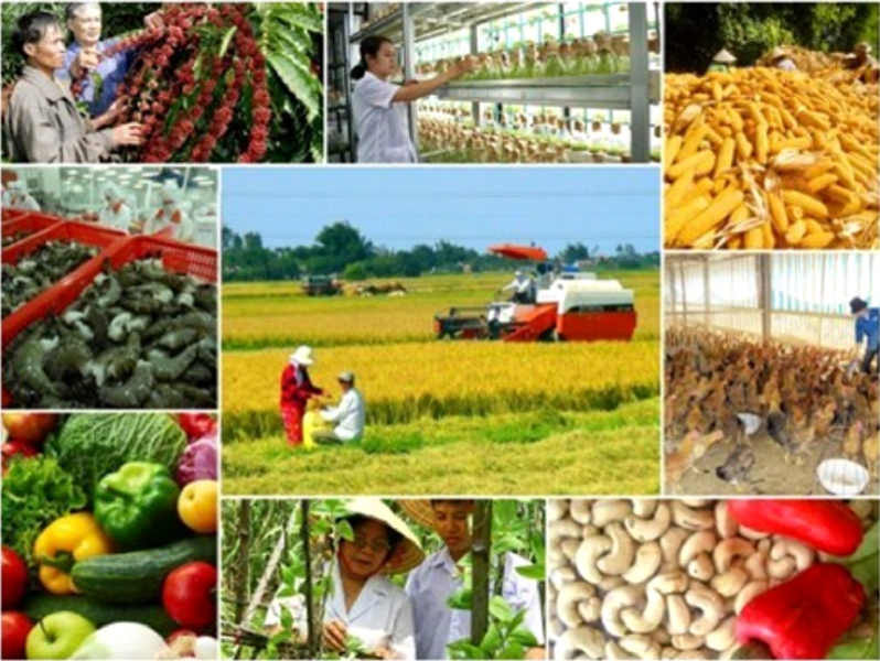 Sản xuất nông nghiệp tiếp tục phát triển ổn định.