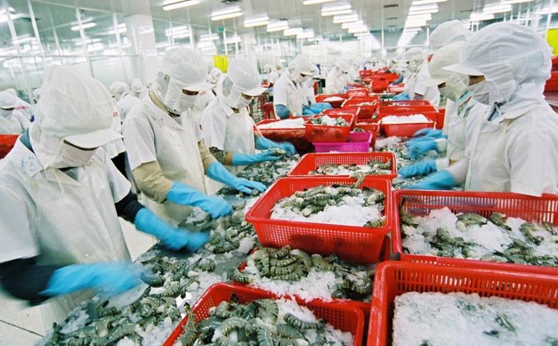 Thuỷ sản là một trong nhiều mặt hàng xuất khẩu chủ lực của Việt Nam sang thị trường Canada. Ảnh minh họa.