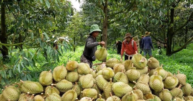 tai bet88 cần nâng cao chất lượng để giữ được vị thế trong lòng người tiêu dùng quốc tế